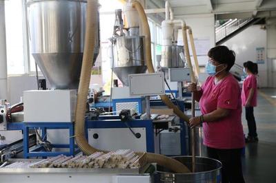 端午節家家戶戶門外掛的小艾草變成大產業 產品從河南遠銷歐美