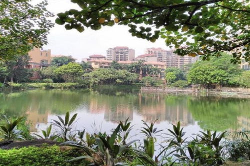 東駿豪苑優點 不足,東駿豪苑怎么樣,東駿豪苑周邊房產中介經紀人評價 東莞安居客